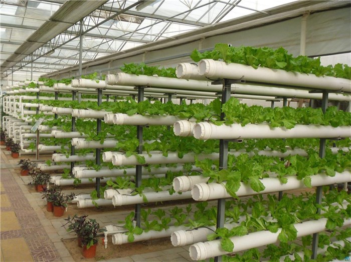 武汉市蔬菜大棚种植槽 - 方案