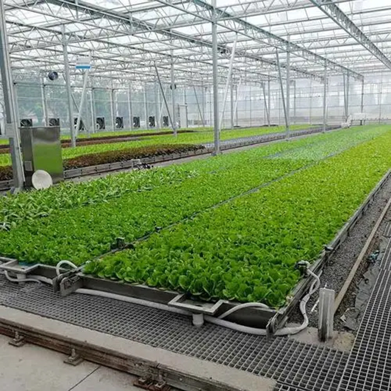武汉市植物工厂无土栽培 - 方案